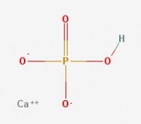 CaHPO4 (Calcium hydrogen phosphate)